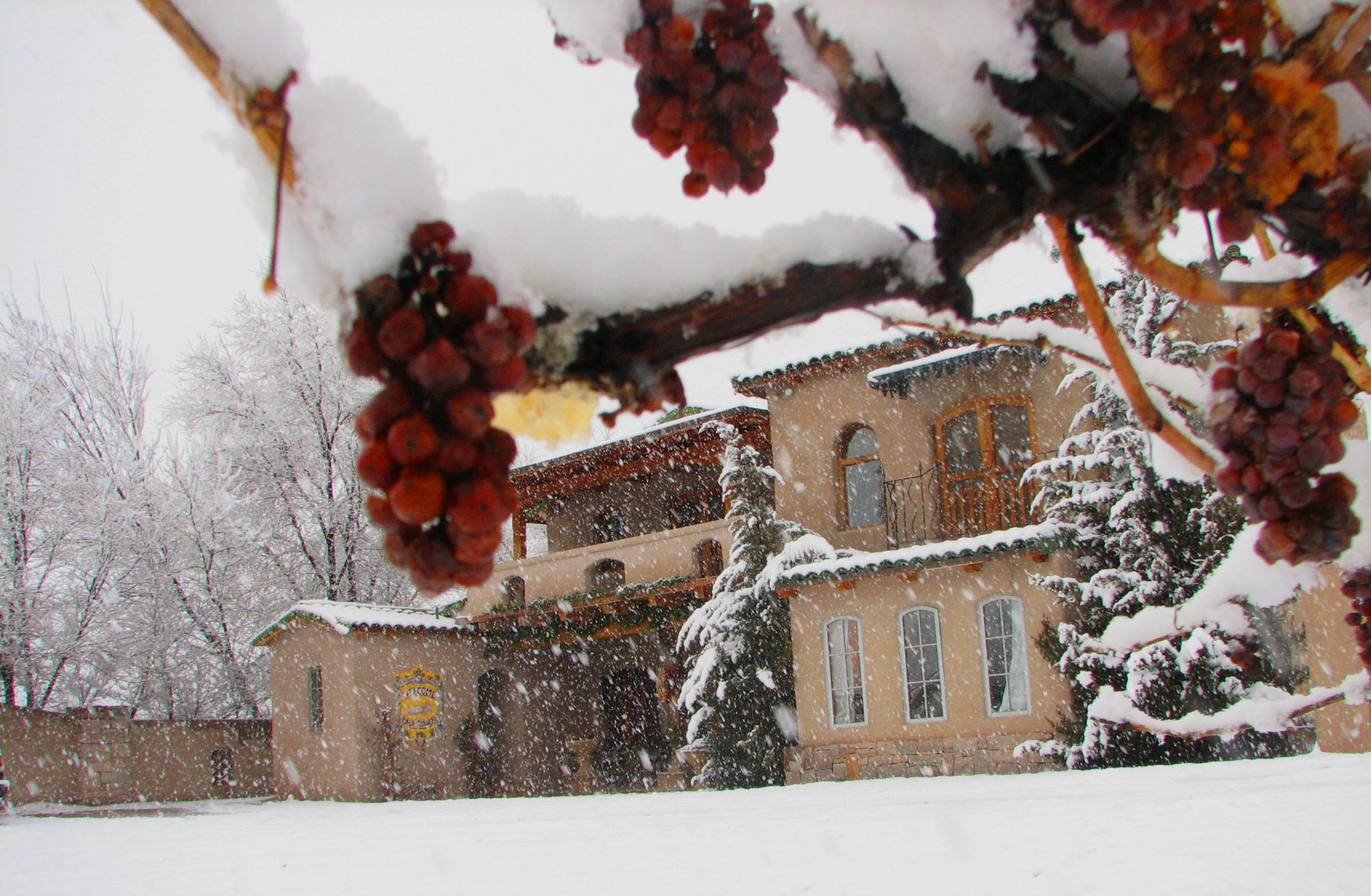 Winter at the Winery